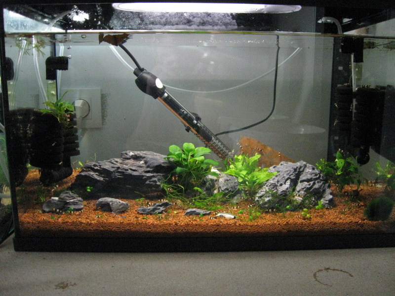 54L pour CBS Aqua_012