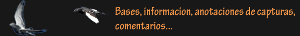 XI Concurso de Palomos de Trabajo.