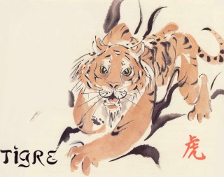 TIGRE - Astrologie chinoise Tigre10