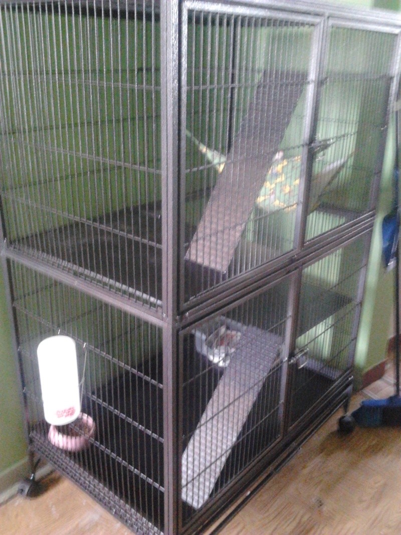 Cage de M.Furet 01610