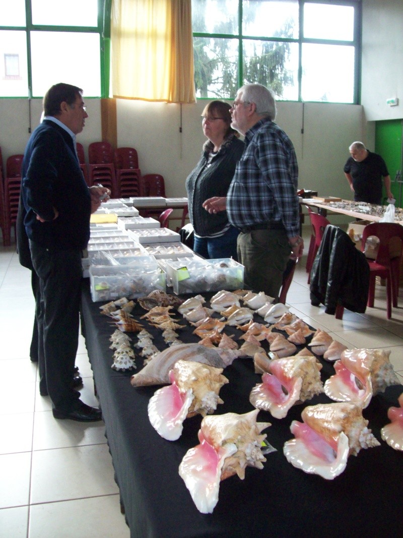 2014 Bourse de Berry au Bac / Reims - 1 & 2 novembre 100_4815