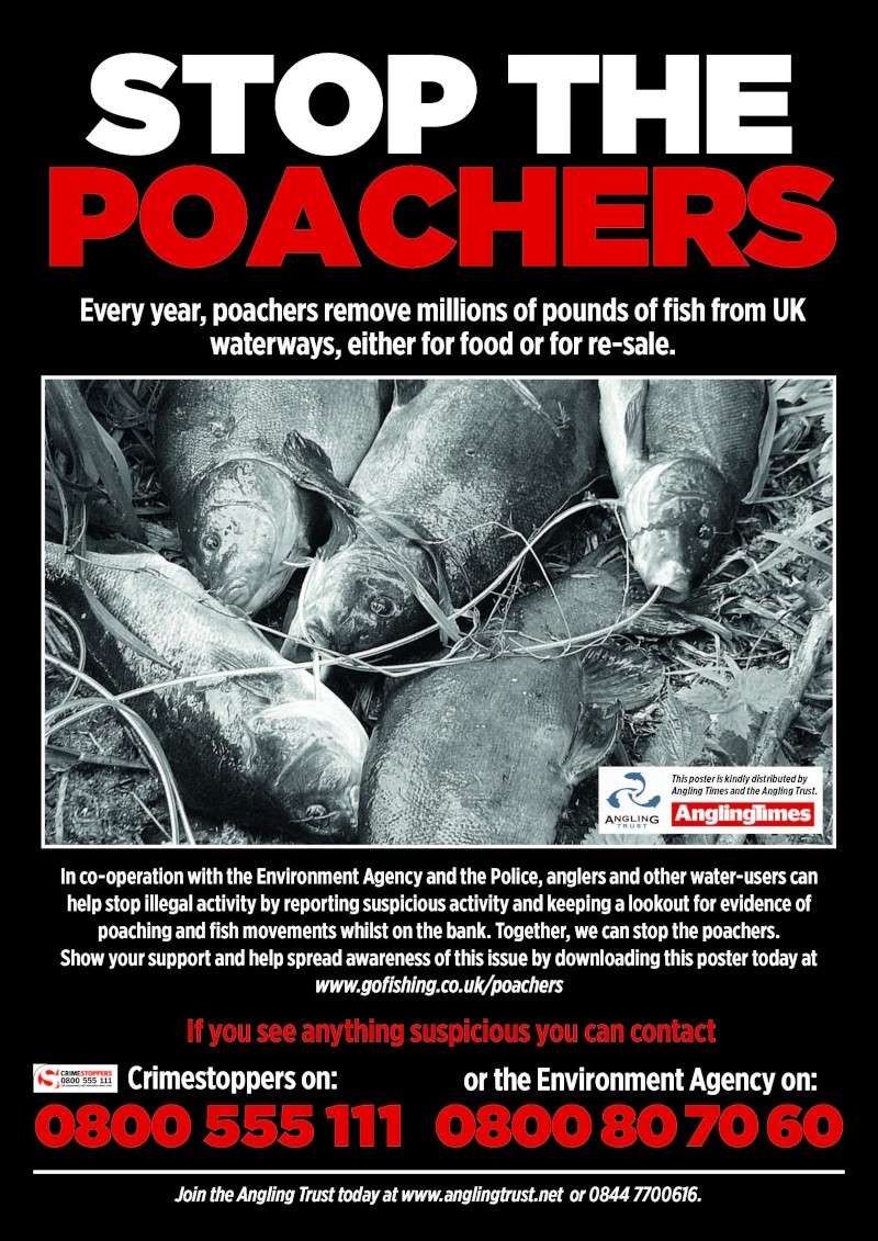 Poachers.... Poache10