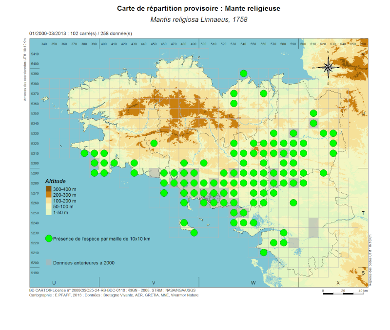 [Mantis religiosa] État des connaissances sur la Mante religieuse en Bretagne ? - Page 2 Mantis10