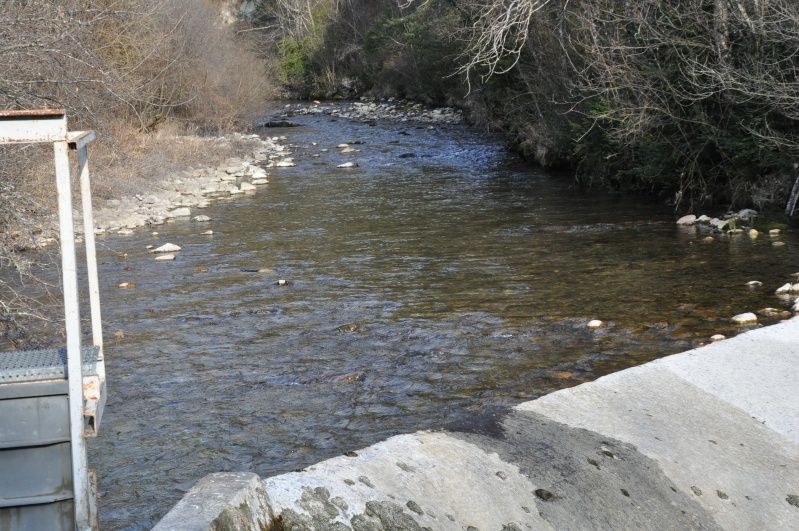 Les niveaux des rivieres Archia17