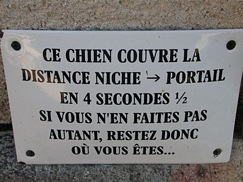 A tous les possesseurs d'animaux, et après ce sera quoi Chien_10