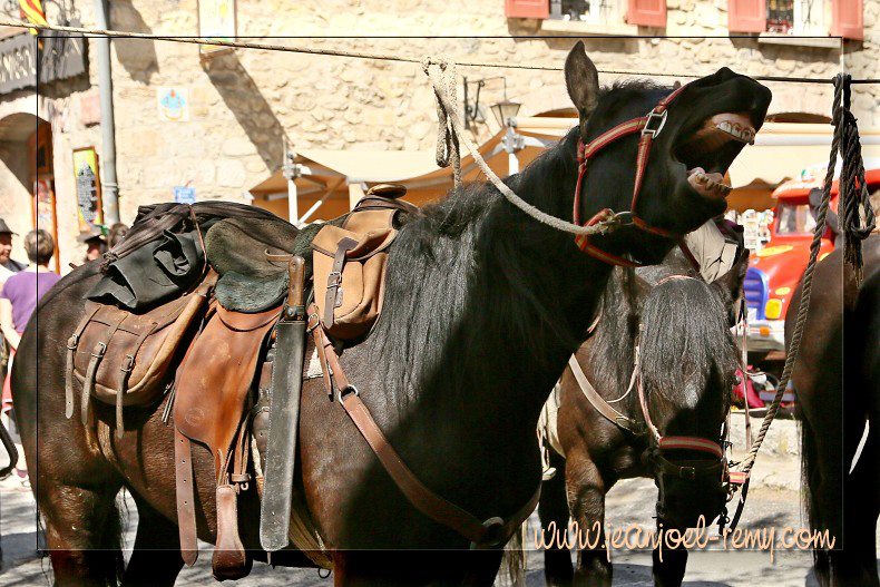 transhumance merens 2013 16490210