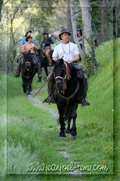 transhumance merens 2013 54731710