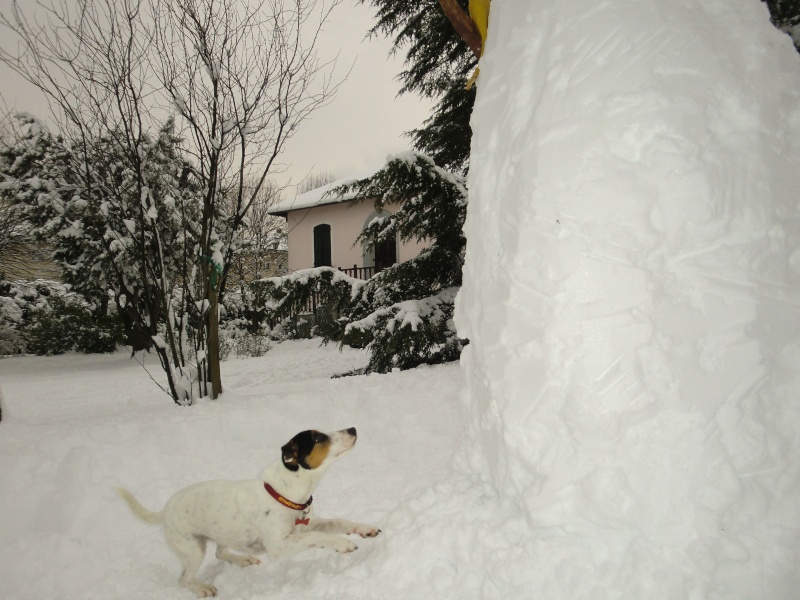 INVERNO IN LIGURIA Cimg3311