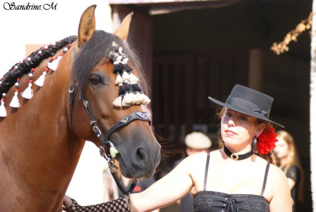 Salon Chevaux du Monde Haras de la Roche sur Yon 54722910