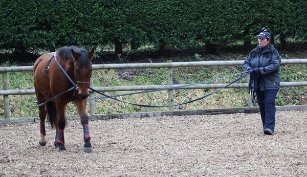 longer son cheval - LONGER son cheval - pourquoi et comment ! - Page 27 410