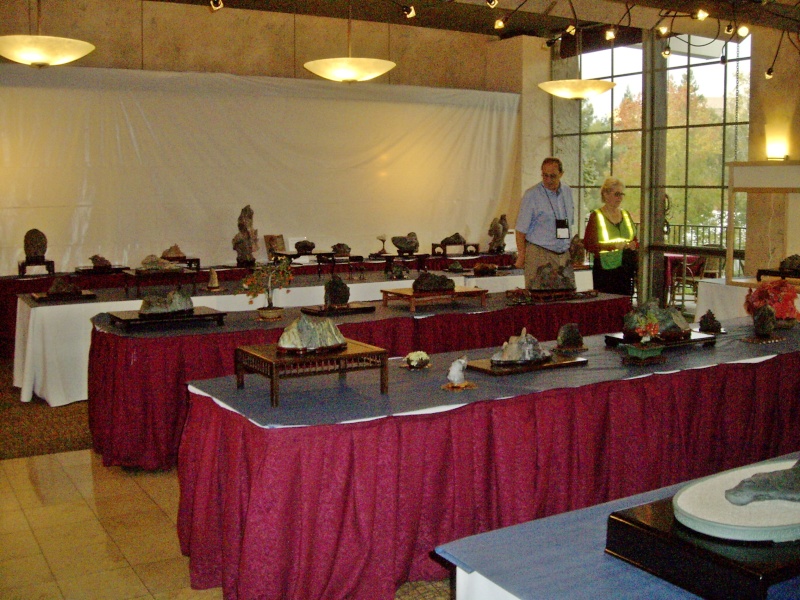 Viewing stone exhibit at the 2014 GSBF Convention. Gsbf_210