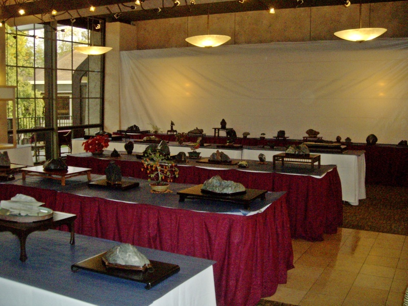 Viewing stone exhibit at the 2014 GSBF Convention. Gsbf_211