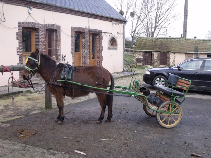 les aventures de pil-poil et piccolo ! Dscf4712