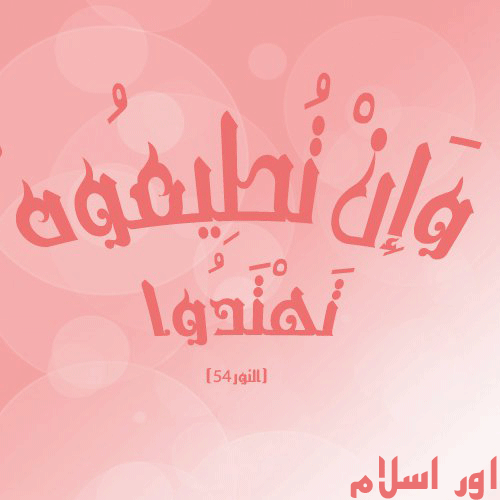تصاميم للدفاع عن هوية مصر الإسلامية Uou-oo11