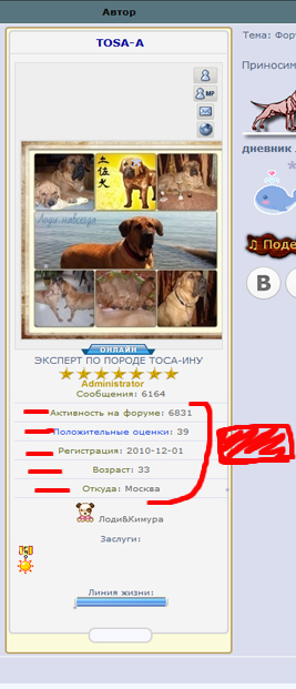 профиль в сообщениях!  Dduddd17