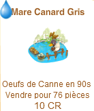 Mare colvert et Mare canard gris => Oeuf de Canne Canard12