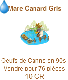 Mare colvert et Mare canard gris =>  Oeuf de Canne Canard12