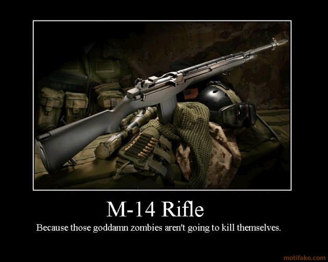 what picture best describes your playing style? M14_mo10