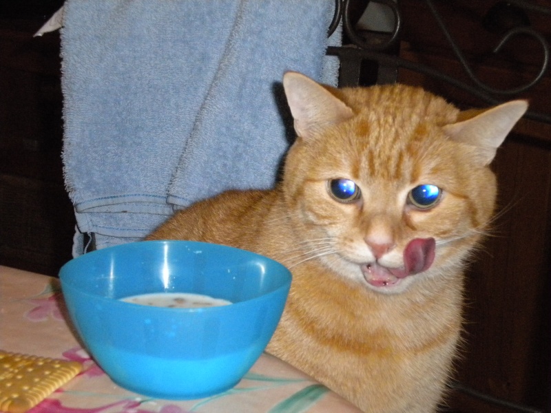Les plus belles grimaces (de vos animaux, pas les vôtres :) ) - Page 3 Photom10