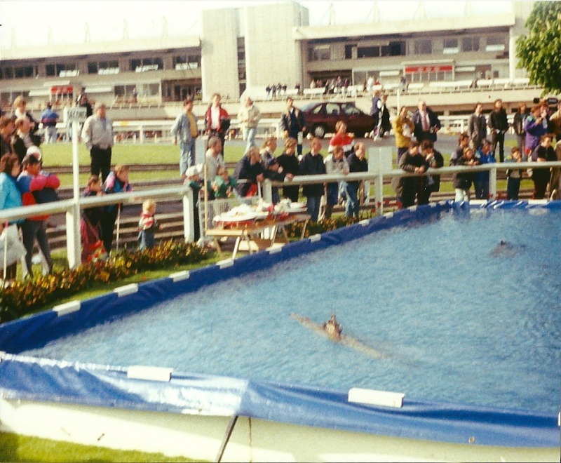 Sandown model show late 1980s early 1990s Scan0041