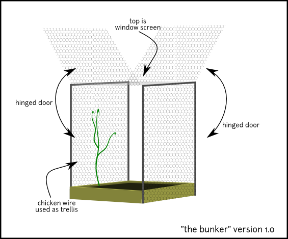 How to combine chicken wire cover and trellis? Versio11