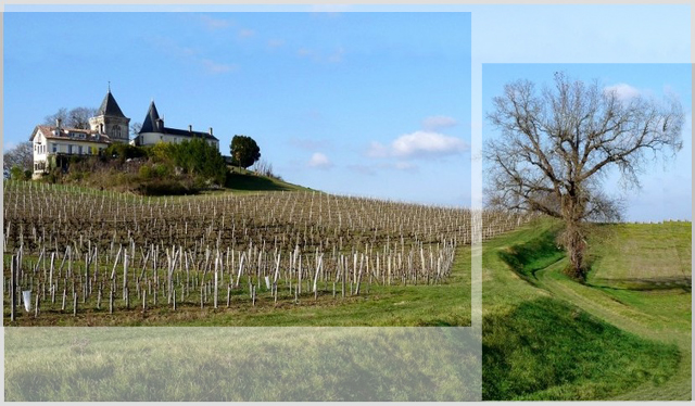 Quand on partait sur les chemins (Tertre de Fronsac, 33) - Page 2 Cadrag10