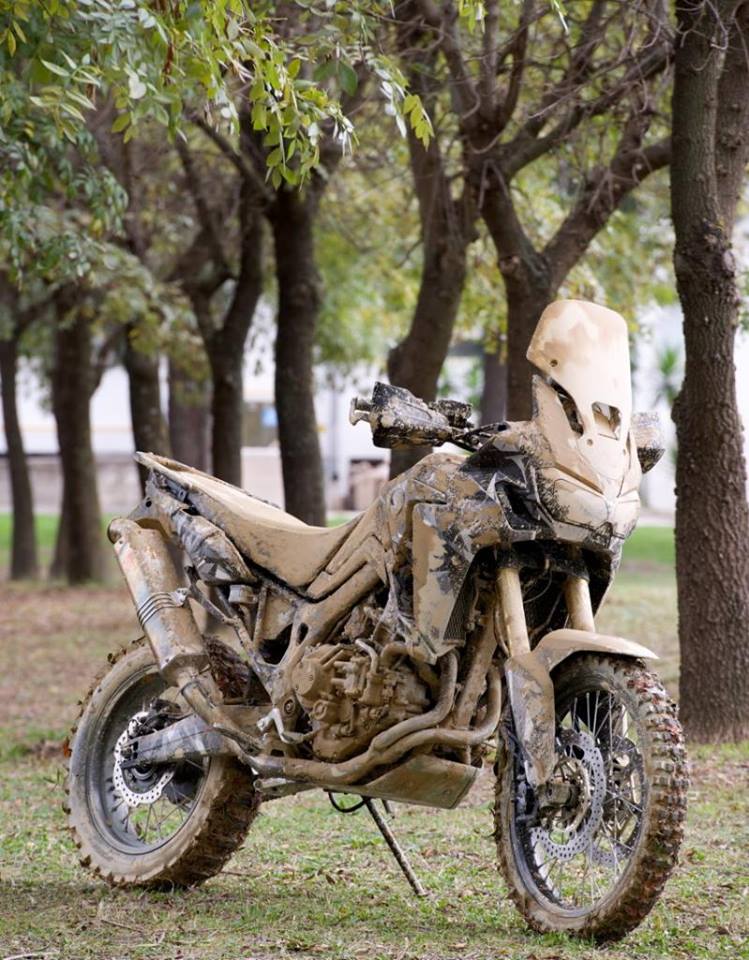 Africa Twin en 2015? - Page 3 13814410