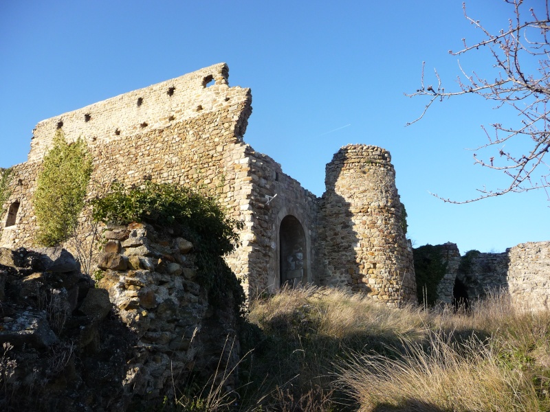 CHARMES SUR RHONE P1090817