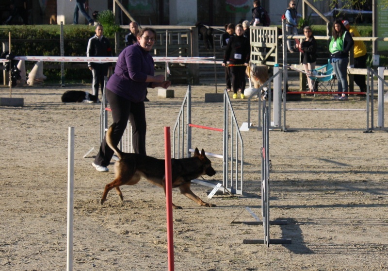 Easy à l'agility - Page 19 00210