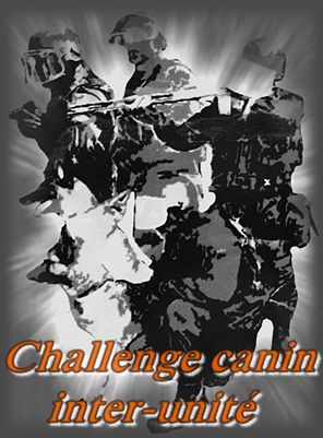 Challenge Inter Unités 12400910