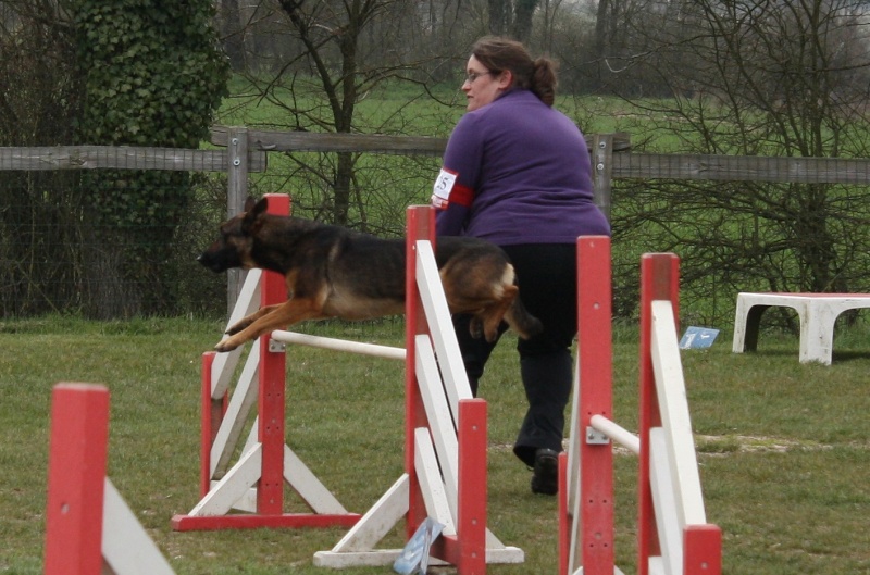 Easy à l'agility - Page 19 Img_5313