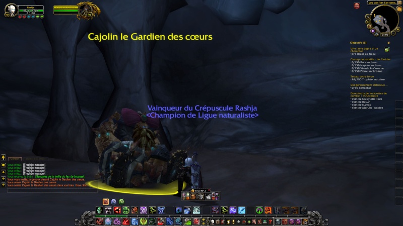 Screens à la con Wowscr12