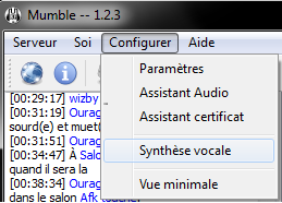 TUTO Mumble Voix_r11