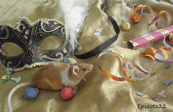 [Février 2013] Les souris fêtent le Carnaval 2_epid10