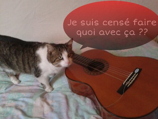 [Mars 2013] Les animaux jouent de la musique 3_aria10