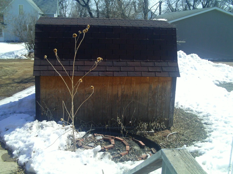 Monthly Avatar Theme March 2013: Your Garden In March! part 1 - Page 3 00112