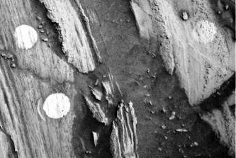 Zbulimi i fundit: NASA gjen një monedhë në Mars (Foto) 22810