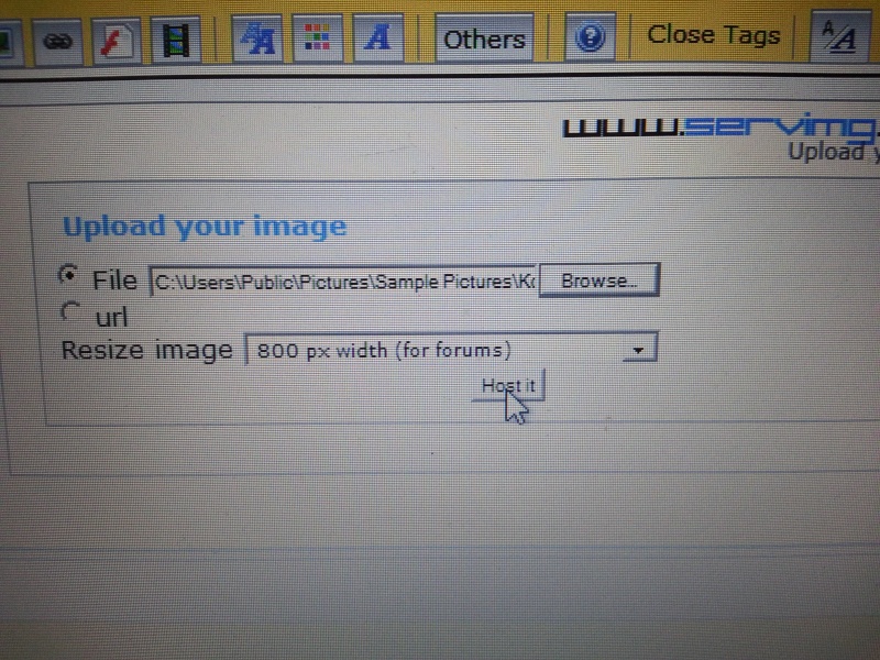How to upload the picture/s on our forum (in pictures) 00910