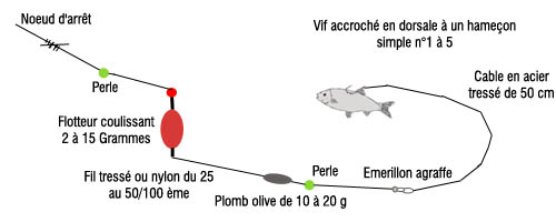 Montage ligne pour brochet Montag11