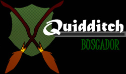 Registro de QUIDDITCH                                                      Buscad15