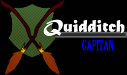 Registro de QUIDDITCH                                                      Capita11