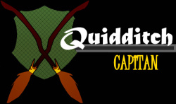 Registro de QUIDDITCH                                                      Capita12