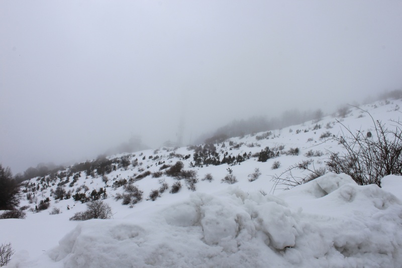 Nivotour Monte Penice (PV) 1400m 29/3/2013 - 1 metro di neve Img_9313
