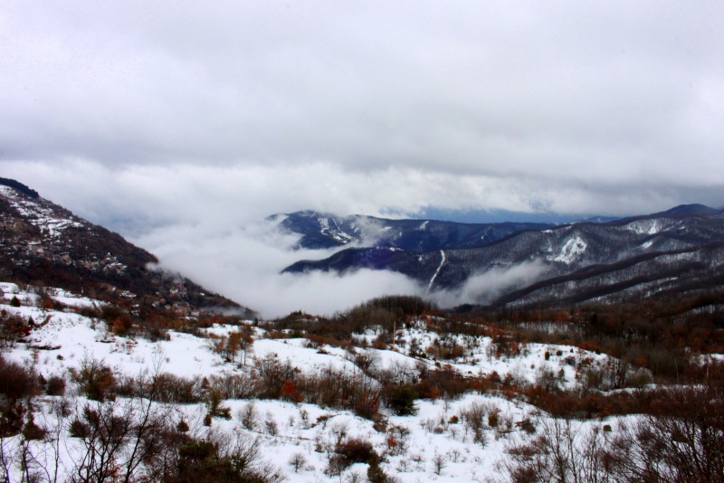 Nivotour Monte Penice (PV) 1400m 29/3/2013 - 1 metro di neve Img_9410