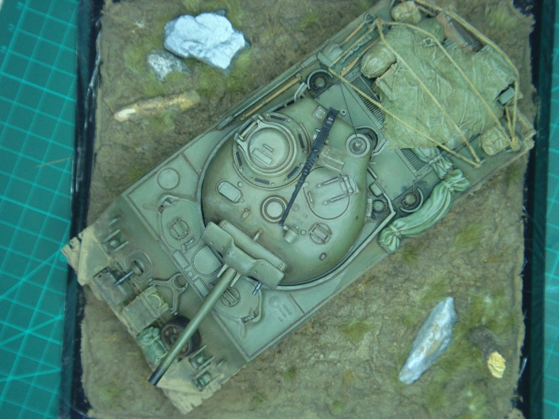 Sherman M4A3 ( TAMYIA ) [Diorama terminé] Dsc09510