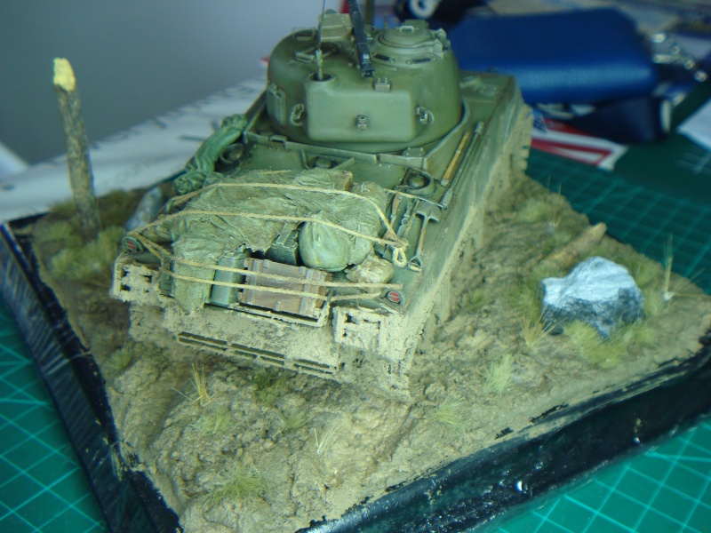 Sherman M4A3 ( TAMYIA ) [Diorama terminé] Dsc09517