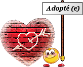 adoption de DISCO 40372113