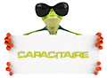 Capacitaire Pro