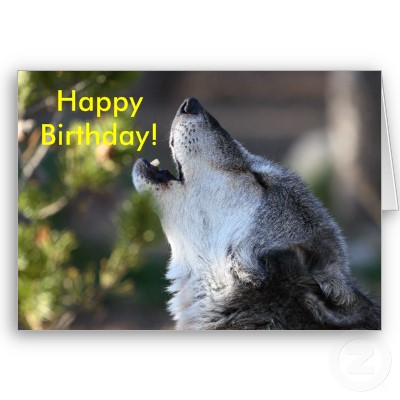 Joyeux anniversaire à Loup Joyeux10