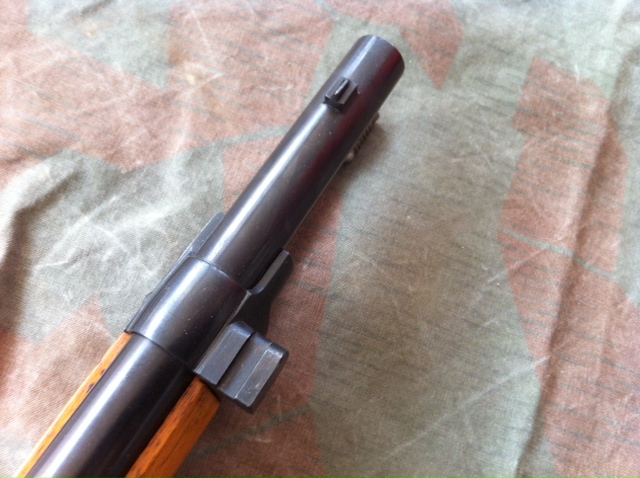 Fusil d'ordonnance modèle M81, Vetterli 1110